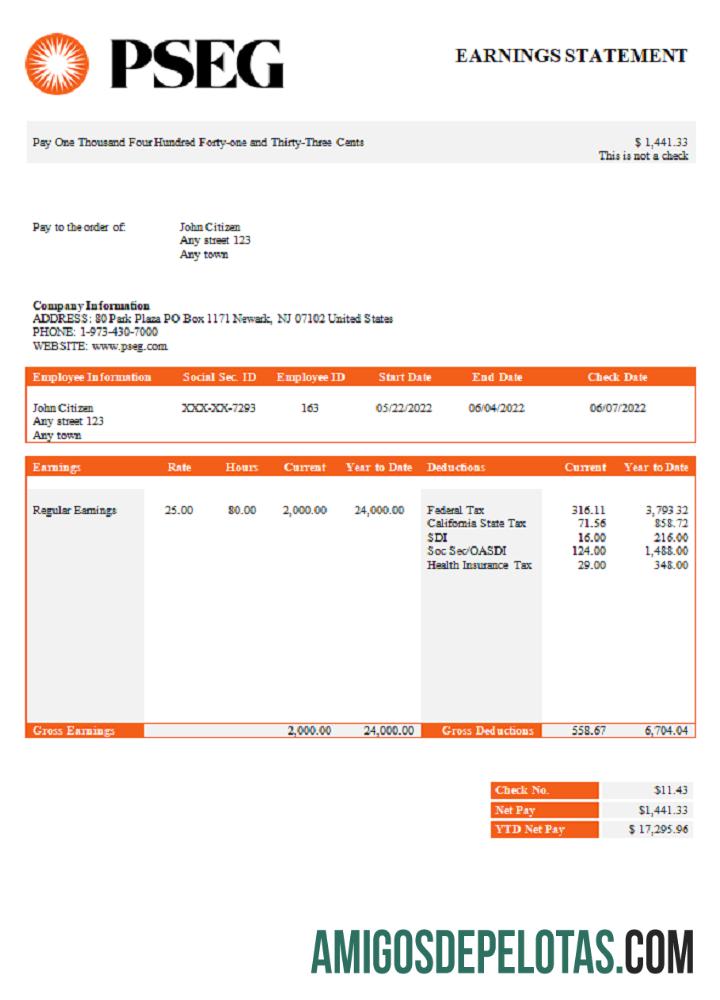 Recibo de pagamento da empresa de serviços públicos PSEG dos EUA exemplo